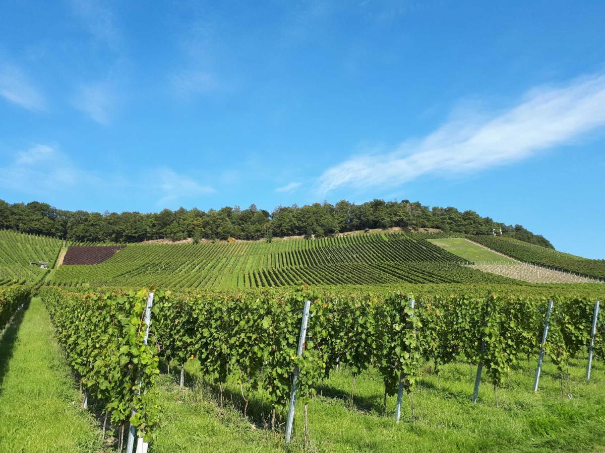 Weinlodge Am Geissberg Eberstadt ภายนอก รูปภาพ